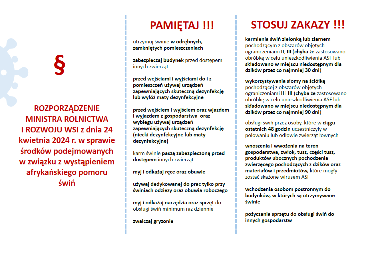 plakat opisujący Afrykański pomór świń